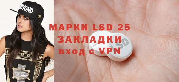 прущие грибы Липки