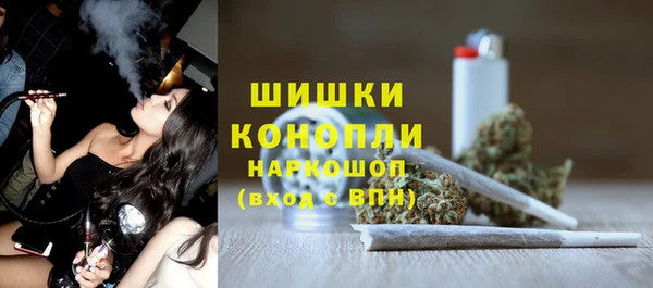 крисы Майский