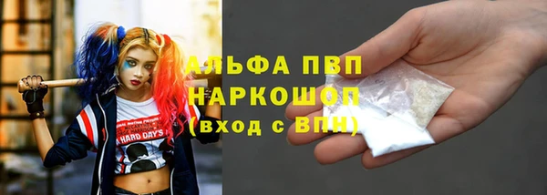 прущие грибы Липки