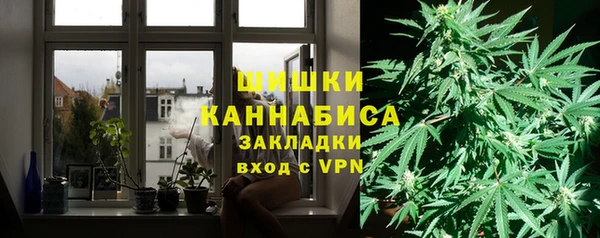 прущие грибы Липки
