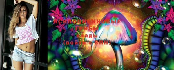 прущие грибы Липки