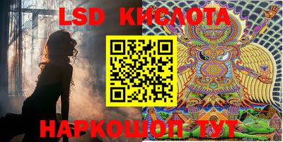 шишки Саяногорск