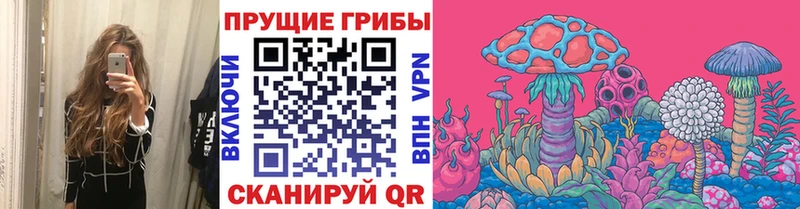 KRAKEN рабочий сайт  Димитровград  Псилоцибиновые грибы мухоморы  как найти закладки 