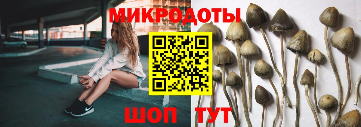 продажа наркотиков  Вход с VPN  Псилоцибиновые грибы Psilocybe  Димитровград  Псилоцибиновые грибы Magic Shrooms 