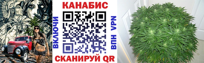Шишки марихуана MAZAR  купить  цена  маркетплейс наркотические препараты  Димитровград 